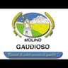 Logo Molino Gaudioso