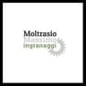Logo Moltrasio Massimo Ingranaggi