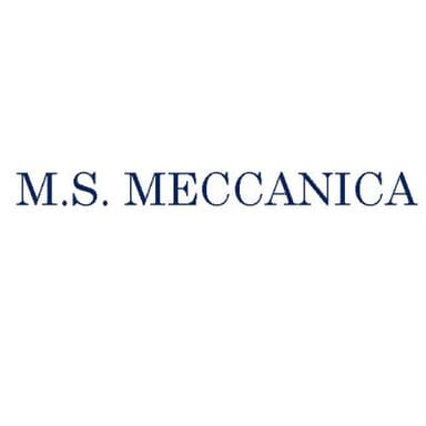 M.S. Meccanica