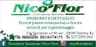 Logo Nico Flor di Nicodemo Sansalone