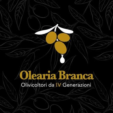 Olearia Branca