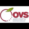 Logo Ovs  Asta Frutta Castelfirmiano