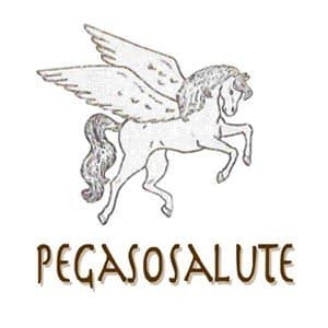 Pegaso Salute