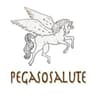 Logo Pegaso Salute