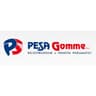 Logo Pe.Sa Gomme Service