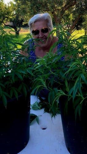 Pina's Farm s.r.l.s.