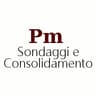 Logo Pm Sondaggi e Consolidamento