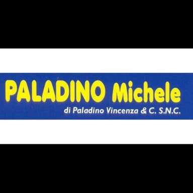 Ricambi Auto Paladino