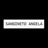 Logo Sangineto Angela