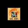 Logo Sic. Ant Antincendio Srl