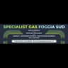 Logo Specialist Gas Foggia Sud