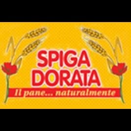 Spiga Dorata Srl