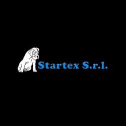 Startex abbigliamento
