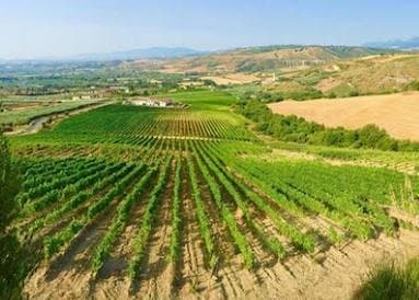 Tenuta Celimarro