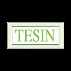 Tesin Ingrosso Carta Sas