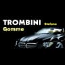 Logo Trombini Stefano Gommista