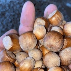 Trusso Sfrazzetto Massimo