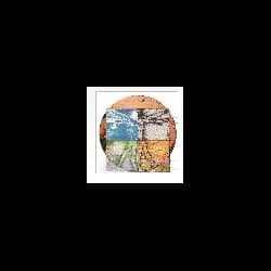 Vannicola Dr. Alessandro