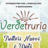 Logo Verdetruria S.r.l.