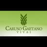 Logo Vivai Caruso Gaetano