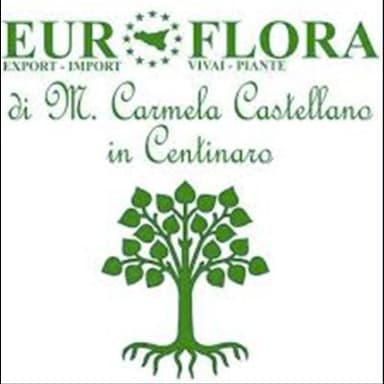 Vivai Euroflora