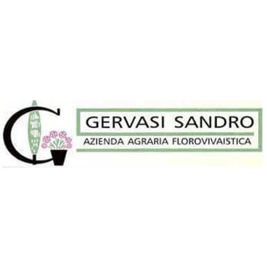 Vivaio Gervasi Sandro