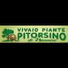 Logo Vivaio Il Pitorsino