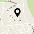 Viverna