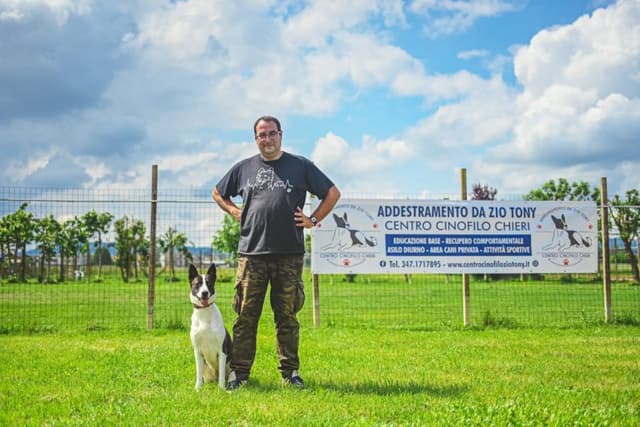 Addestramento da Zio Tony - Centro Cinofilo Chieri - Immagine 2