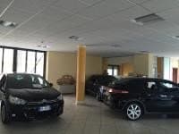 Adriano Automobili di Coero Borga Adriano - Immagine 2