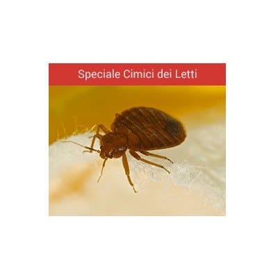 Aducta Disinfestazioni - Immagine 2