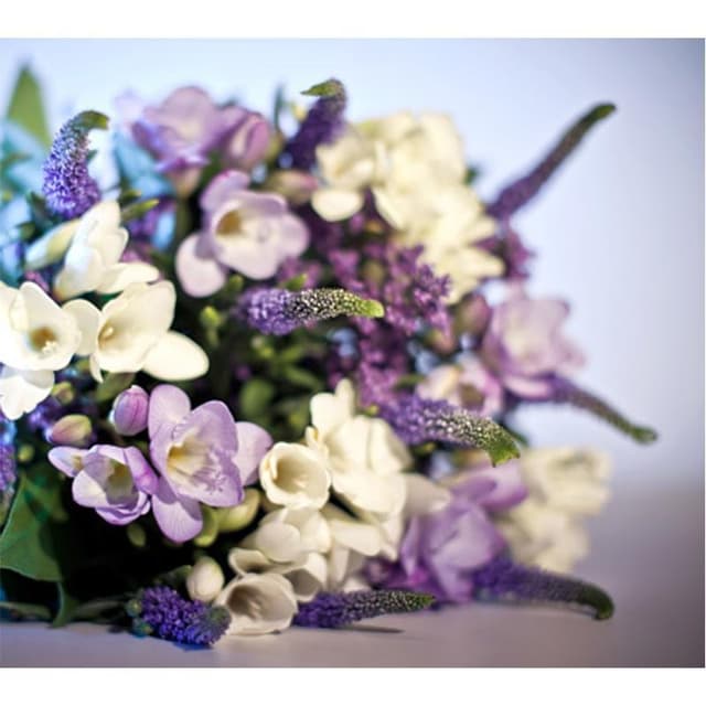 Agatone Funeral Service Casa funeraria - Immagine 1