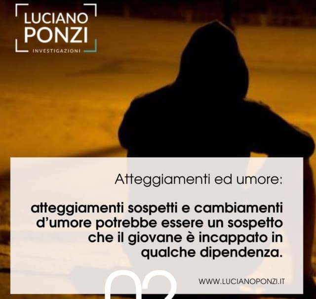 Agenzia Investigativa Luciano Ponzi Investigazioni - Immagine 2