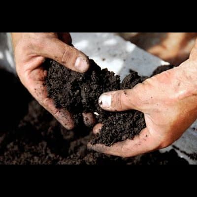 Agri 2000 - Immagine 1