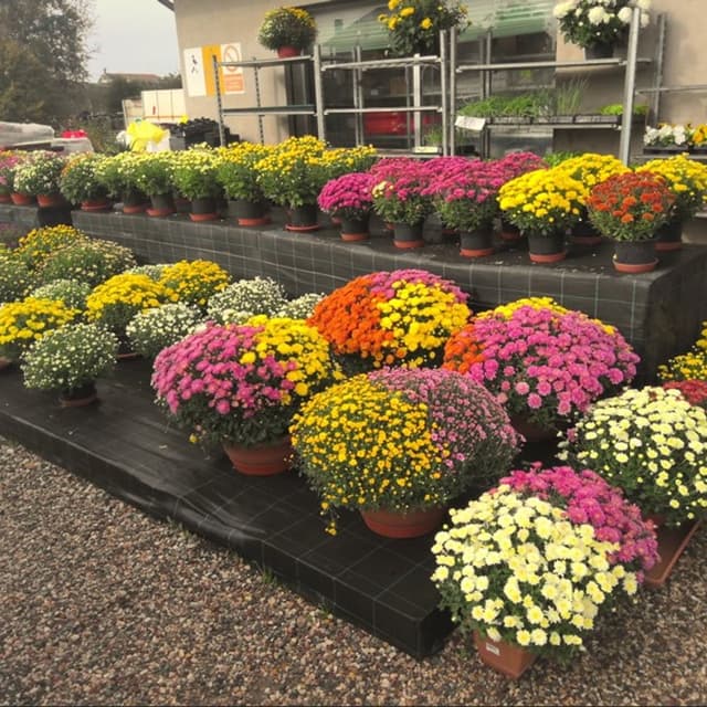 Agri Blù - Servizi per L'Agricoltura - Immagine 2