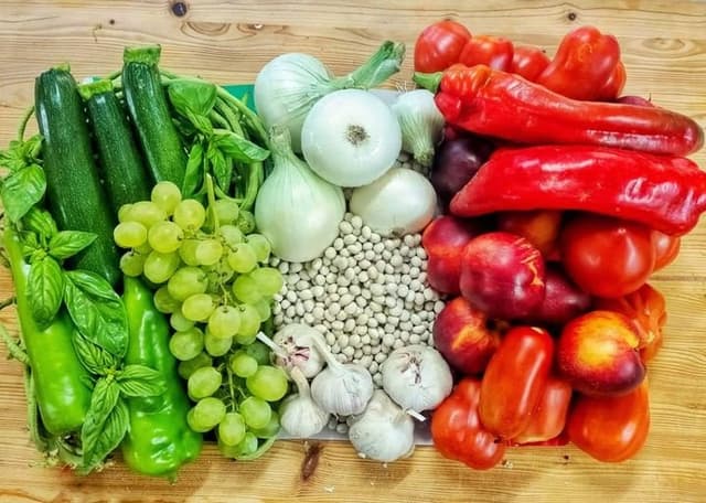 Agricampeggio Punto Verde - Azienda Agricola Ritrovati - Immagine 2