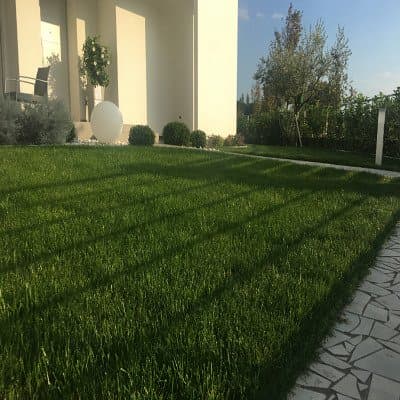 Agrimarket - Immagine 2