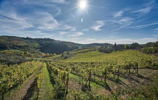 Agriturismo Borgo Casa al Vento - Immagine 1