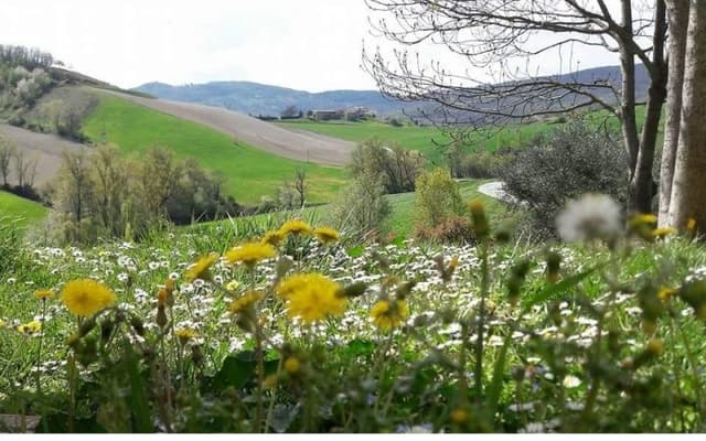 Agriturismo Il Colore del Grano - Immagine 1