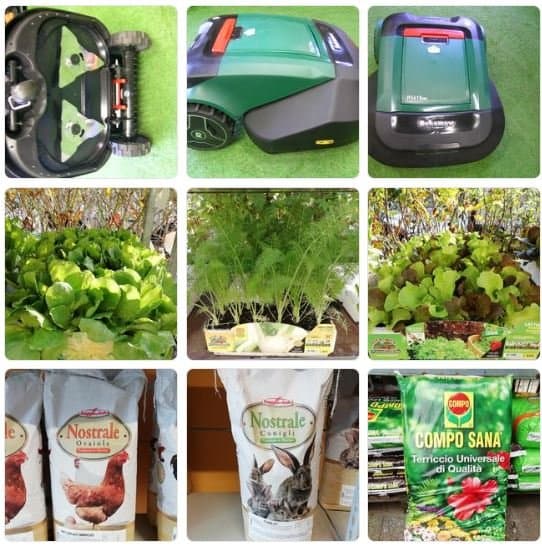 Agroflor - Immagine 2