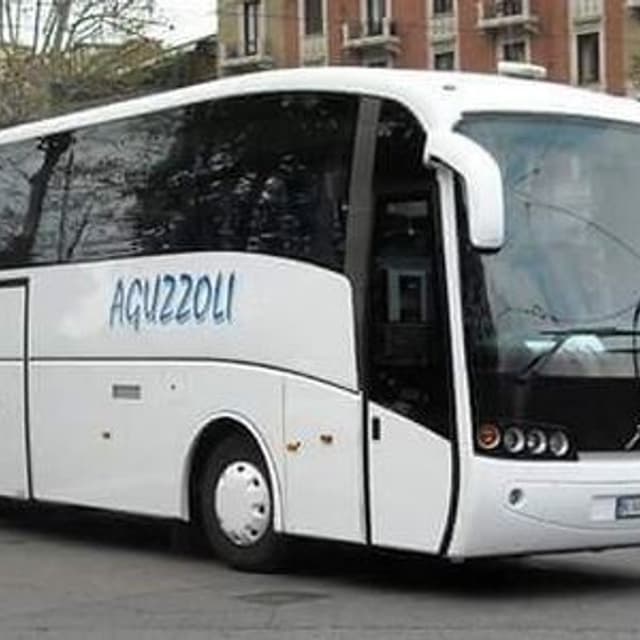 Aguzzoli Autoservizi - Immagine 1