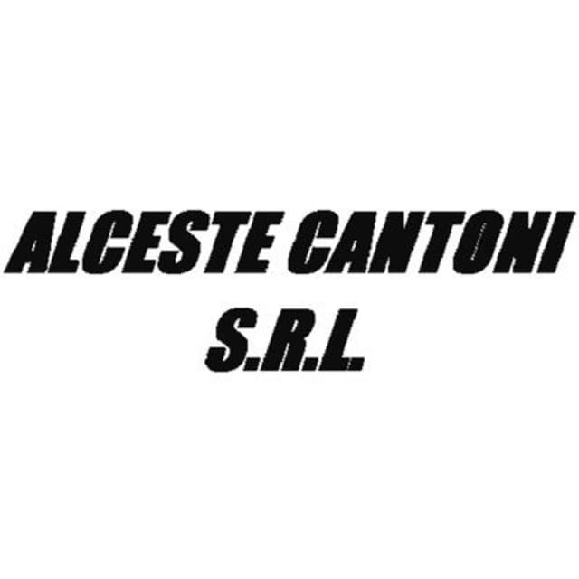 Alceste Cantoni - Immagine 1