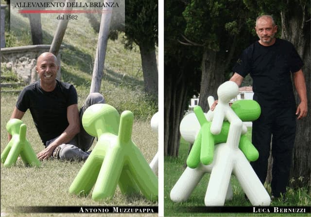 Allevamento della Brianza - Immagine 2