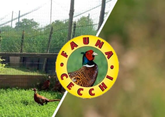 Allevamento Selvaggina Cecchi - Immagine 1