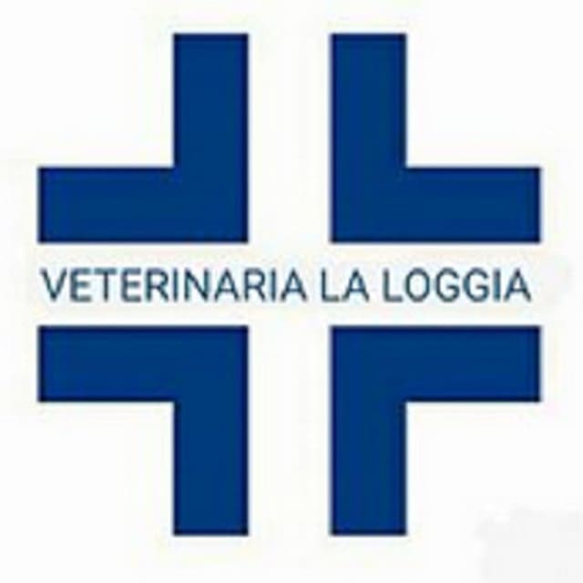 Ambulatorio Associato Veterinaria La Loggia - Immagine 1