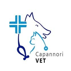 Ambulatorio Medico Veterinario CapannoriVET del Dott. Luca Cassiani - Immagine 2
