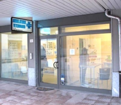 Ambulatorio Veterinario Artemide - Immagine 2