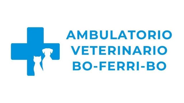 Ambulatorio Veterinario Associato Bo Ferri Bo - Immagine 2