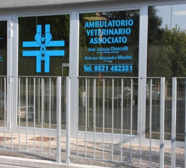 Ambulatorio Veterinario Associato | Dott.Donzelli - D.ssa Musini - Immagine 1
