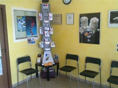 Ambulatorio Veterinario Canali Bandini Dr. Marco - Immagine 1